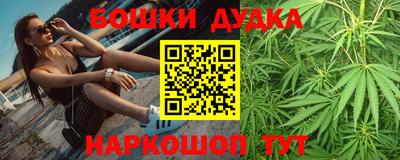 МДПВ Будённовск