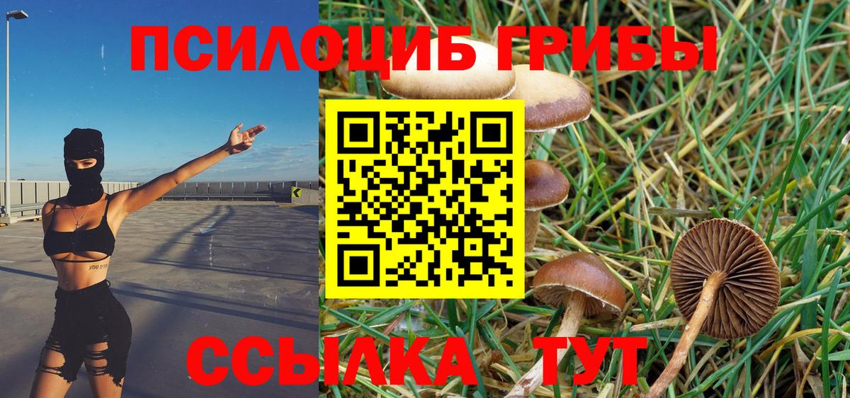 Галлюциногенные грибы мухоморы Стерлитамак