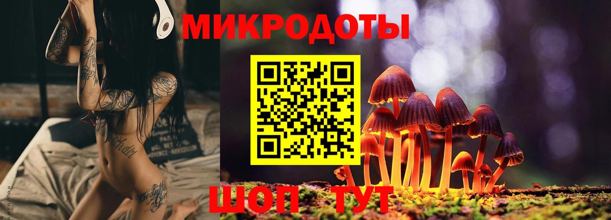 Стерлитамак  Псилоцибиновые грибы прущие грибы  Вход с VPN 