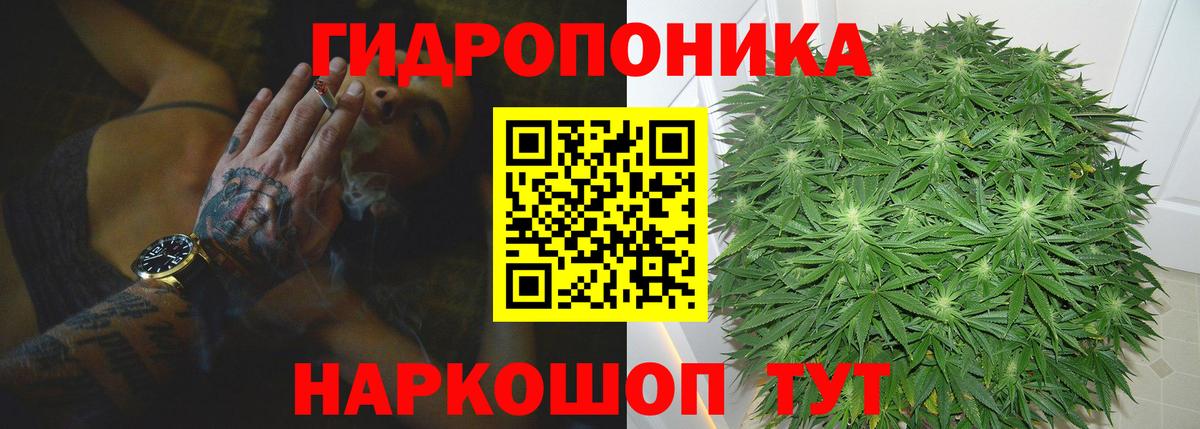 Каннабис план  Шишки марихуана конопля  Вход с VPN  Стерлитамак  Бошки марихуана семена  Марихуана VHQ 